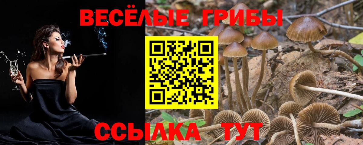 Псилоцибиновые грибы мухоморы  Псилоцибиновые грибы MAGIC MUSHROOMS  Вход с VPN  Великие Луки 